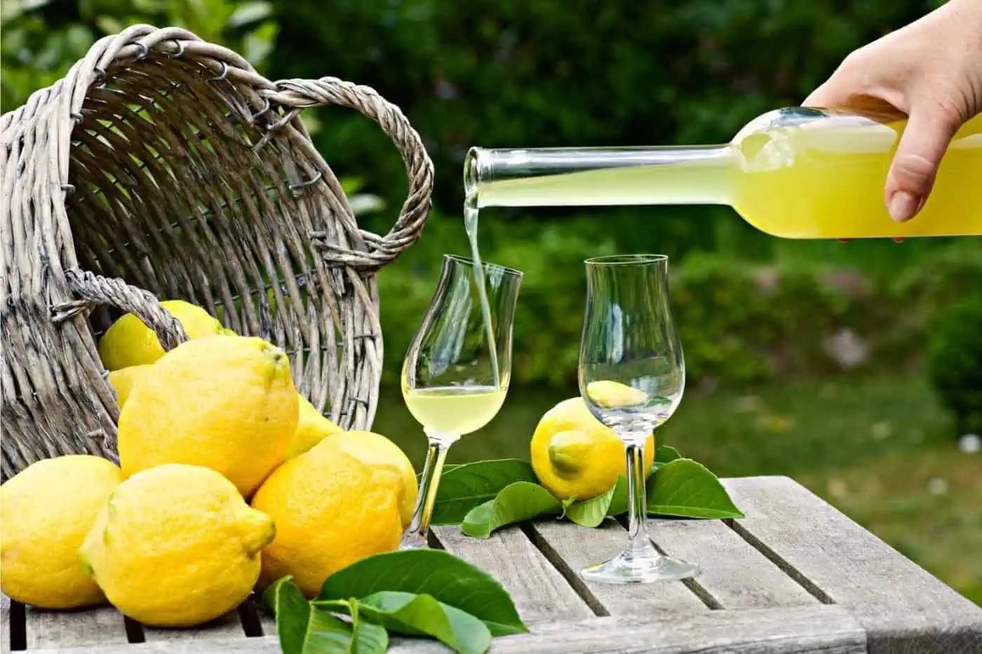 Fresh Amalfi Coast lemons used for limoncello