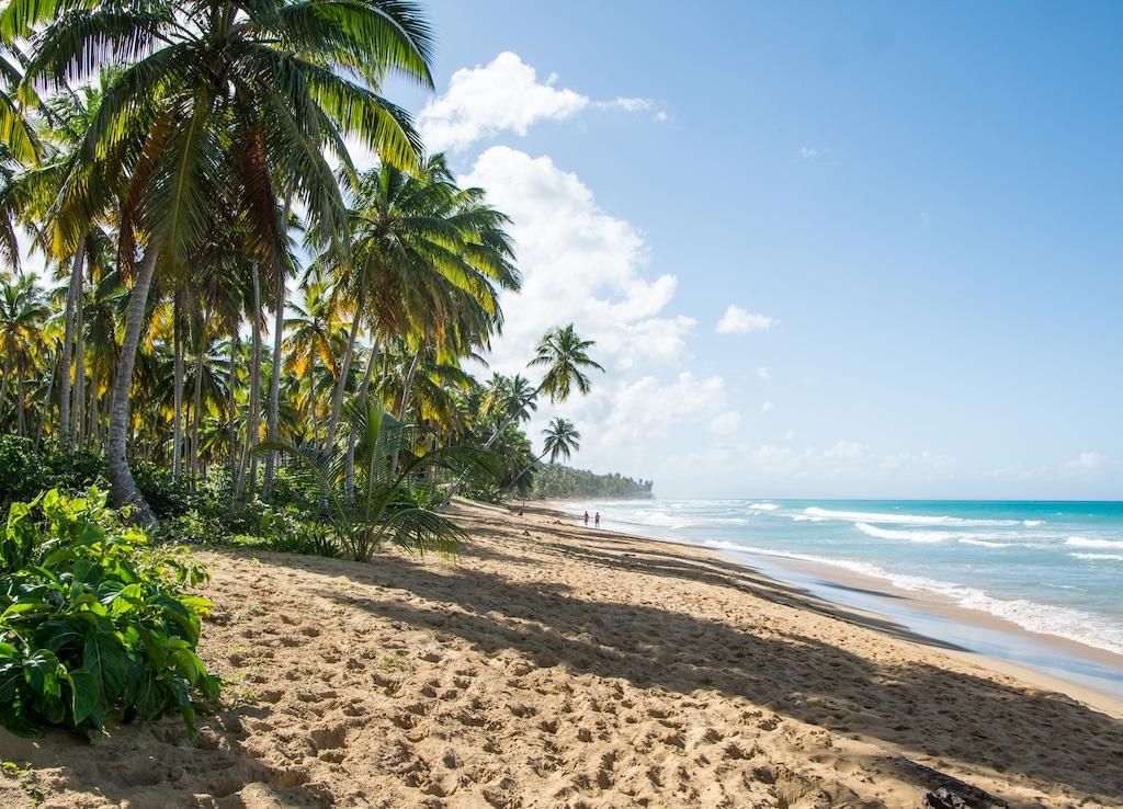Quiet Caribbean beach with palm trees during shoulder season