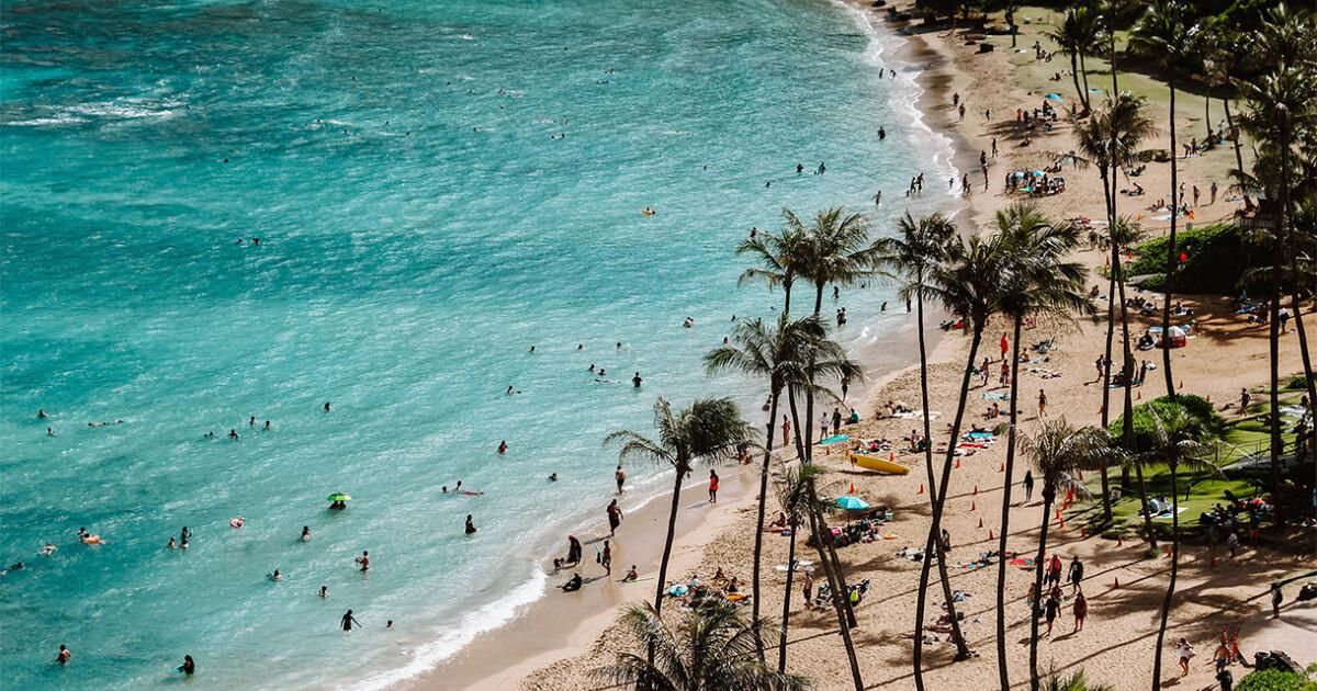 Aerial view of a Hawaiian beach with palm trees and clear water